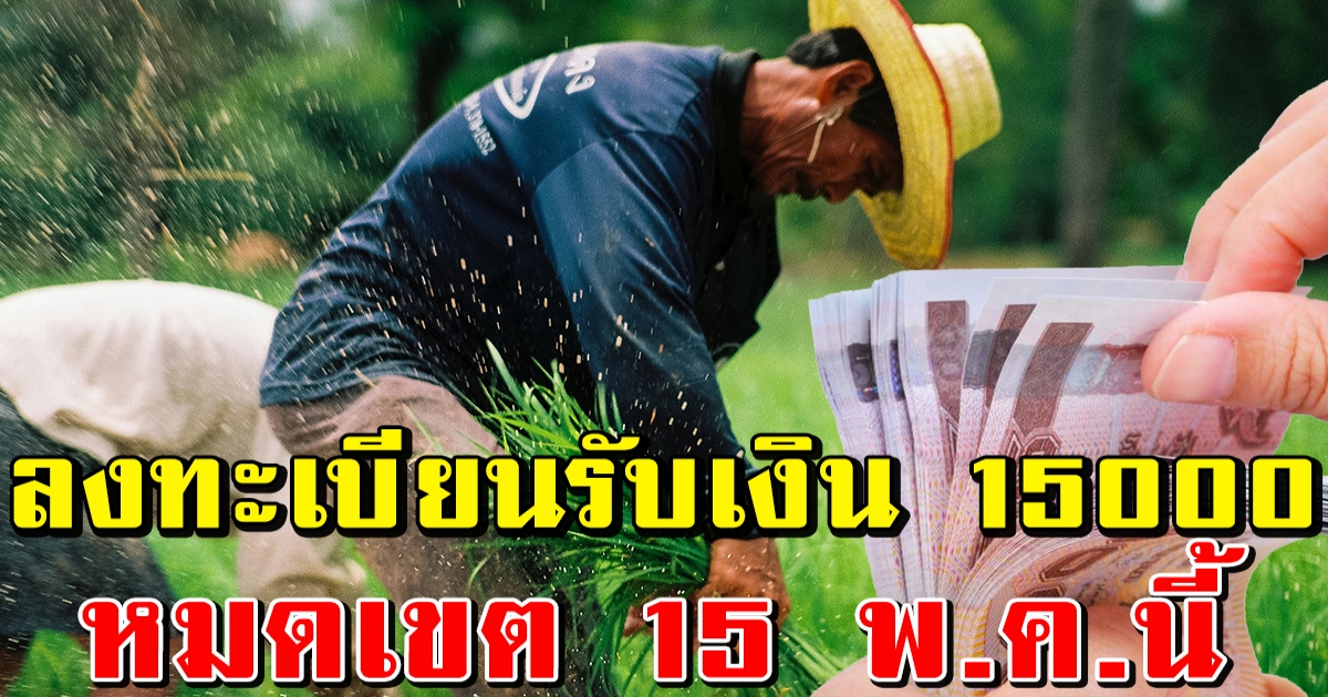 เกษตรกรปลูกพืช ให้ลงทะเบียนรับเงินช่วยเหลือ 15000 ก่อนหมดเขต 15 พ.ค.นี้