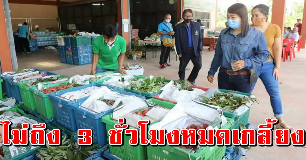 ชาวสุราษฎร์ ซื้อผลไม้เกรดพรีเมี่ยมกว่า 9000 กิโล