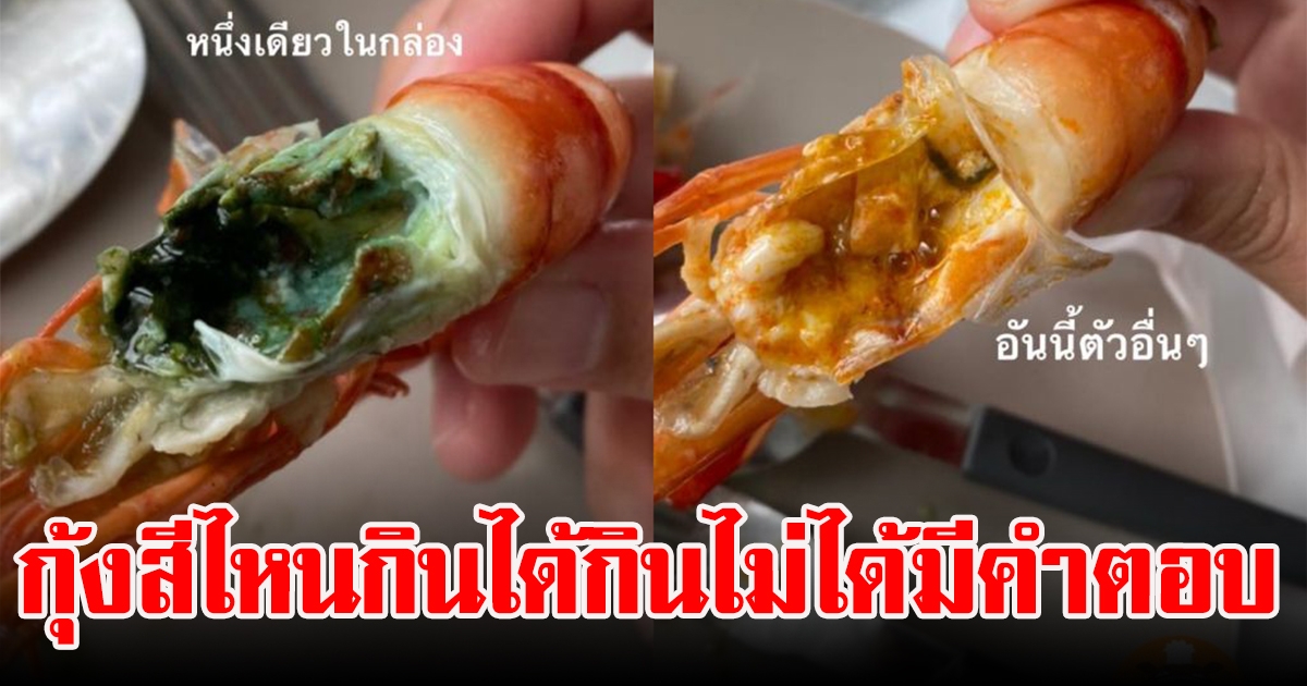 เฉลยแล้วต้นกำเนิด กุ้งหัวเขียว  สภาพนี้กินได้หรือไม่