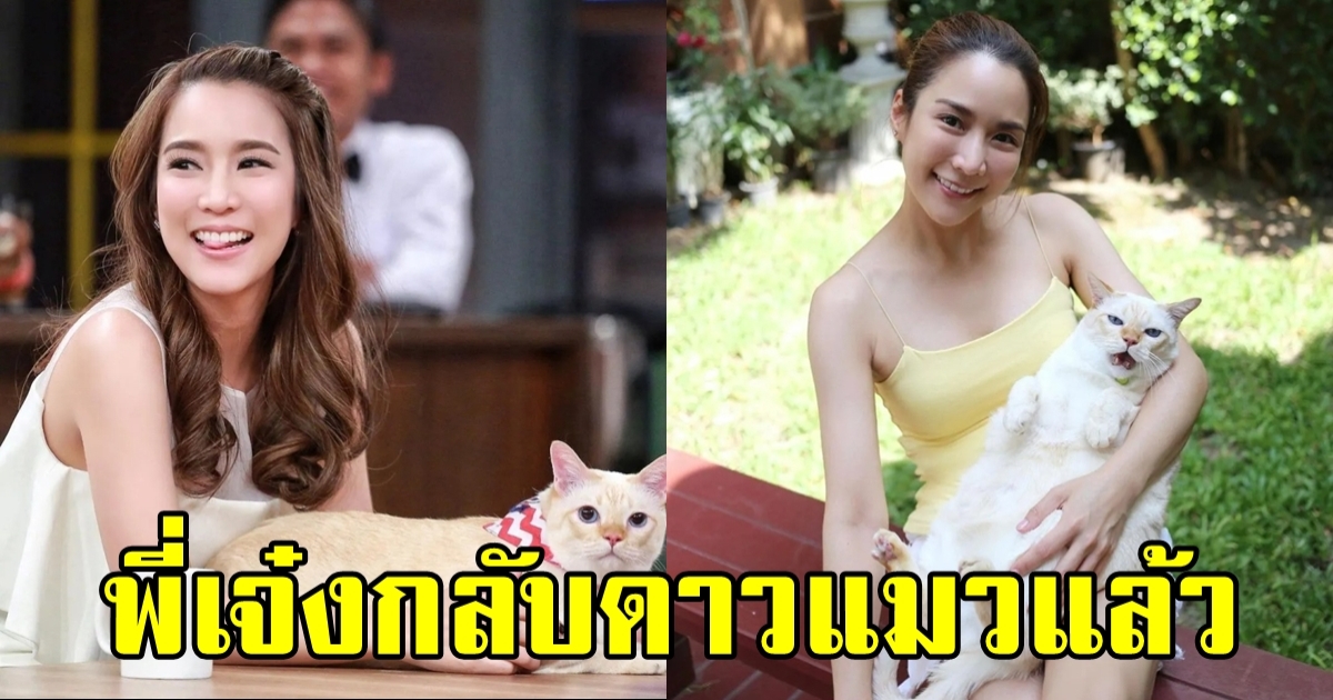 จั๊กจั่น อคัมย์สิริ เศร้าสูญเสีย พี่เจ๋ง แมวตัวแรกรักเหมือนลูก ผ่านสุขและทุกข์ร่วมกัน 14 ปี